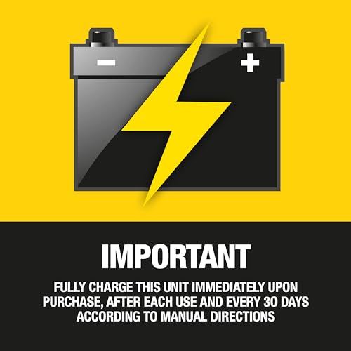 Stanley J7C09D 1400 Peak Amp Automotive Jump Starter, Portable Power – Triple 15W USB Ports, 120 PSI Air Compressor for Tires & Sports Equipment