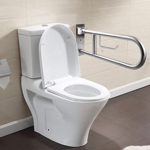 Toilet Grab Bar Stainless Steel Handicap Rails Grab Bars Bathroom Support for Elderly Disabled Safety Hand Railing Guard Frame Shower Assist Aid Handrails Hand Grips (29.5 Inches with Paper Holder)