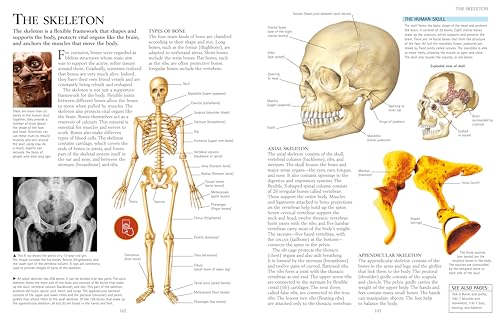 The Kingfisher Science Encyclopedia (Kingfisher Encyclopedias)