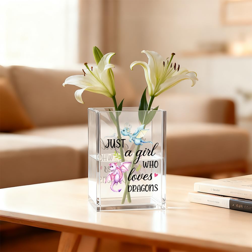 Gkodw Just A Girl Who Loves Dragons Acrylic Cosmetic Organizer Pen Holder, Funny Acrylic Desk Holder Cup for Pen Pencil, Christmas Birthday Gifts for Dragon Lovers Daughter Lady Women Coworker Boss