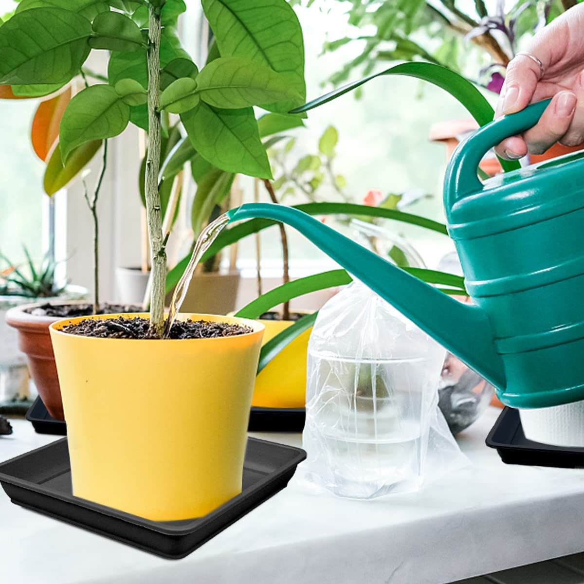 LNQ LUNIQI 10 PCS Square Plastic Plant Saucer 8 Inch Flower Pot Bottom Seat Flower Pot Tray Thick Plastic Drip Tray for Garden Potted Water Drips and Soil (Black)