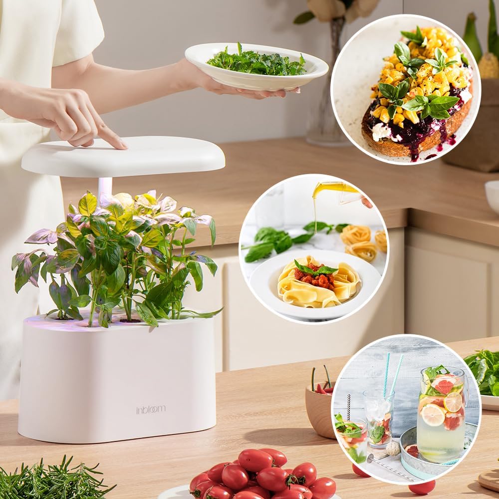 inbloom Asian Herb Seed Pod Kit for AeroGarden, iDoo, Ahopegarden, 7 Pods with 350+ Seeds (Basil, Parsley, Cilantro, Chrysanthemum, Pak Choi, Crystalline Ice Plant, Onion) Hydroponics Growing System