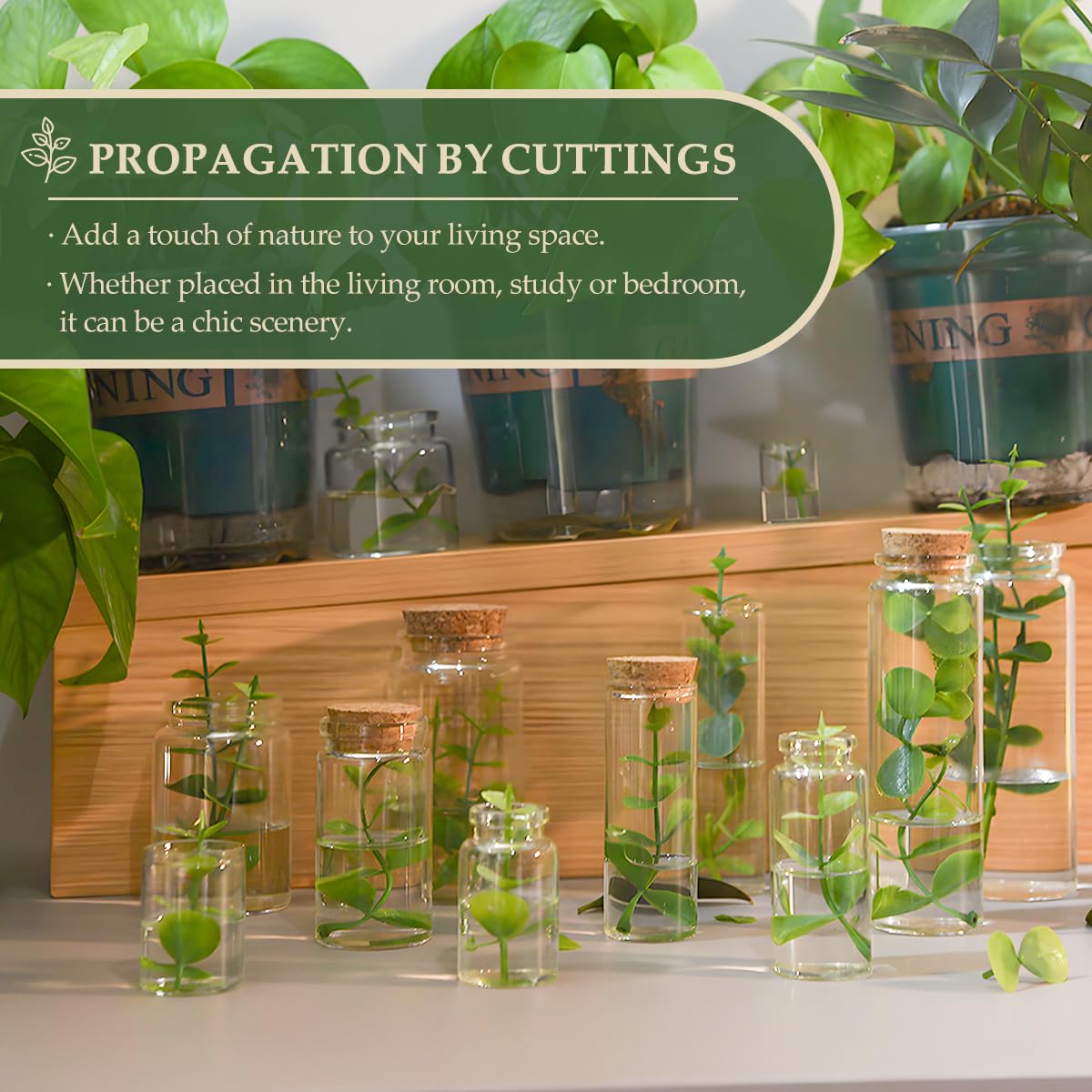 15-Pack 1.01 oz (30 ml) Glass Bottles with Cork Stoppers – for Spell Bottles, Spice Jars, DIY Party Favors, Travel Memories & Plant Propagation – Empty Recyclable Containers for Crafts, Kitchen,Décor