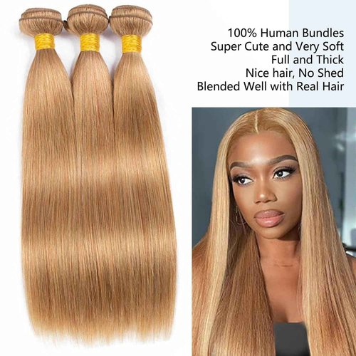 Habiliana Bundles Human Hair 22 24 26 Inch Straight Brown 27 Human Hair Bundles 11A Unprocessed Brazilian Virgin Quick Weave Hair Extensions for Black Women