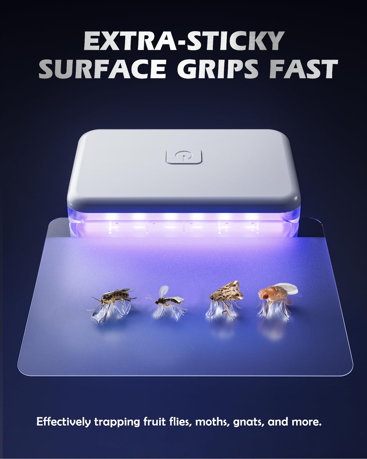 LFSYS 2 Pcs Fruit Fly Traps for Indoors (2 Device+10 Refills) Plug in UV Light Fly Trap for Gnats, Fruit Flies, Flying Insects Sleek Design Indoor Safe