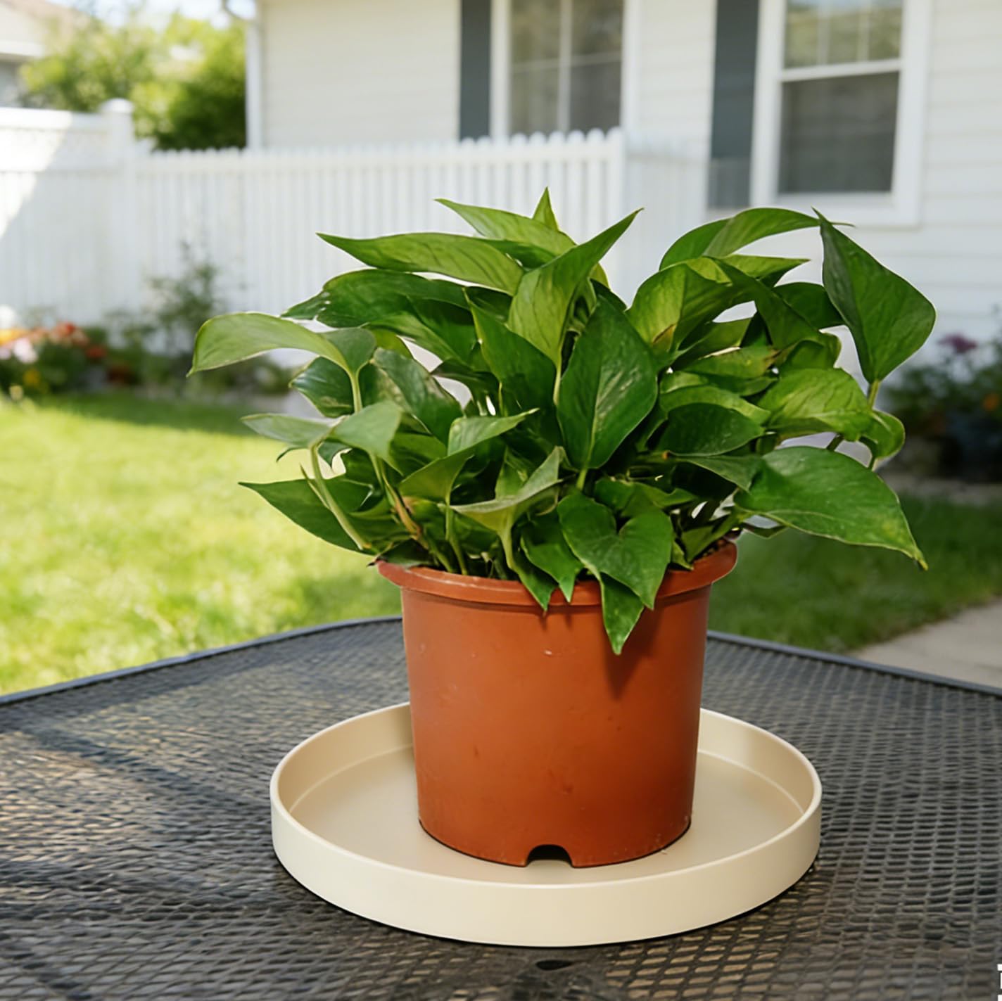 Afrine 1 Pack 12 inch Plant Saucer Drip Tray, Heavy Sturdy Plastic Planter Flower Pot Drainage Tray Plate Saucers for Indoor Outdoor Garden, Plant Water Drip Trays for pots Base (12", Beige)