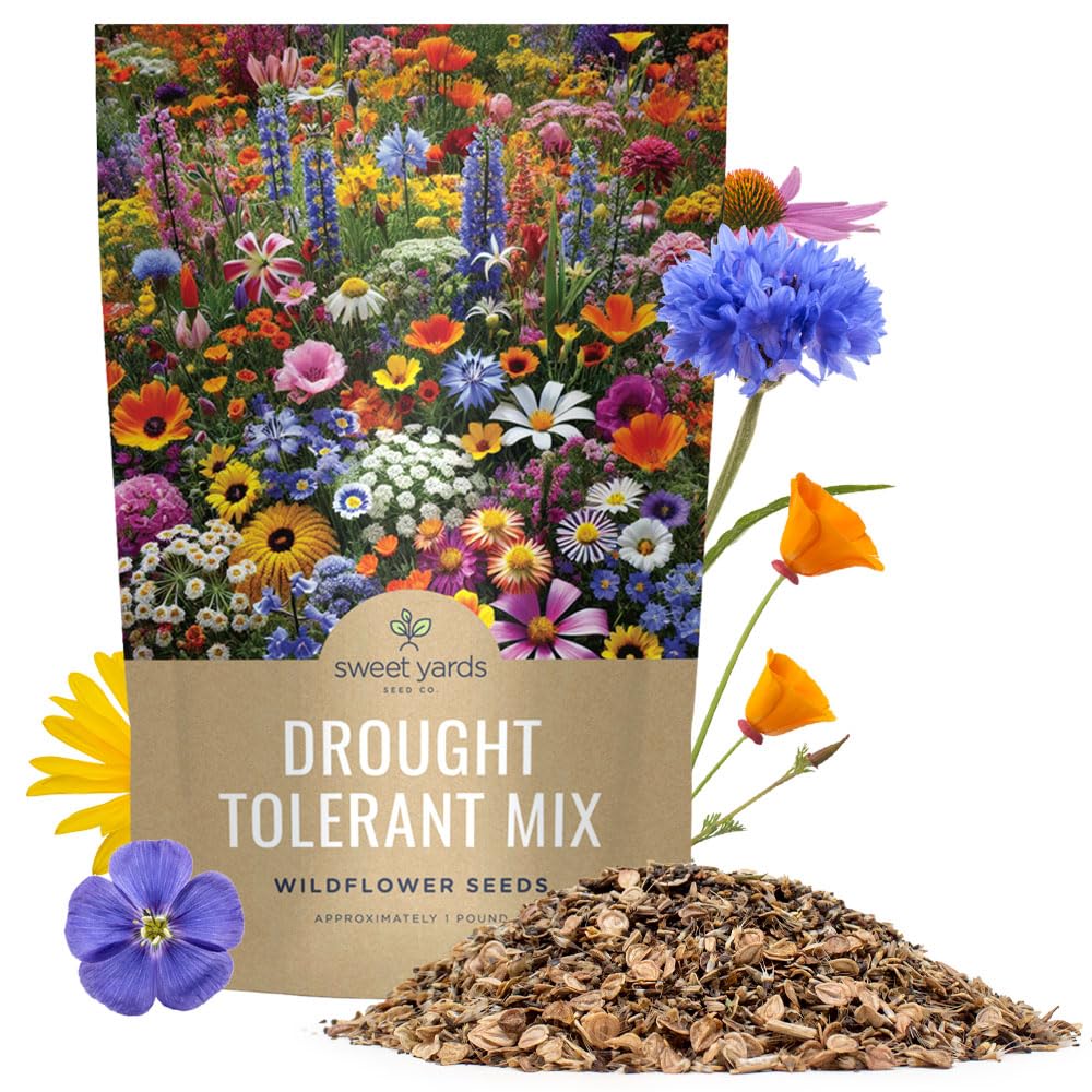 Drought Tolerant Wildflowers Mix â Bulk 1 Pound Bag â Over 120,000 Open Pollinated Non-GMO Seeds â 21 Different Dryland Species