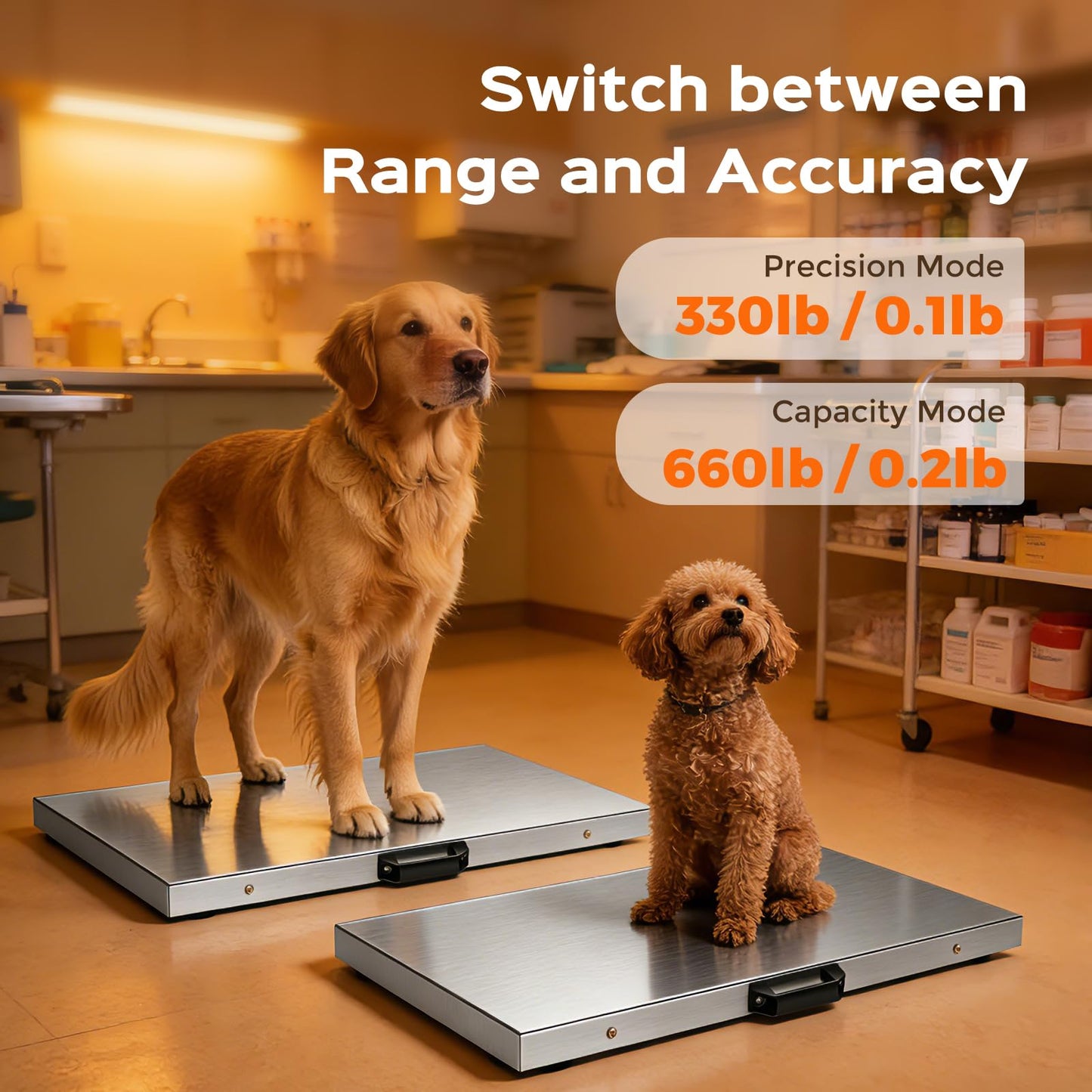 Bonvoisin Dog Scale for Large Breed, 660 x 0.2 lbs Livestock Scale, Shipping Postal Scale with Large Stainless Platform 31.4” x 20.8”, Vet Scale with Rubber Mat