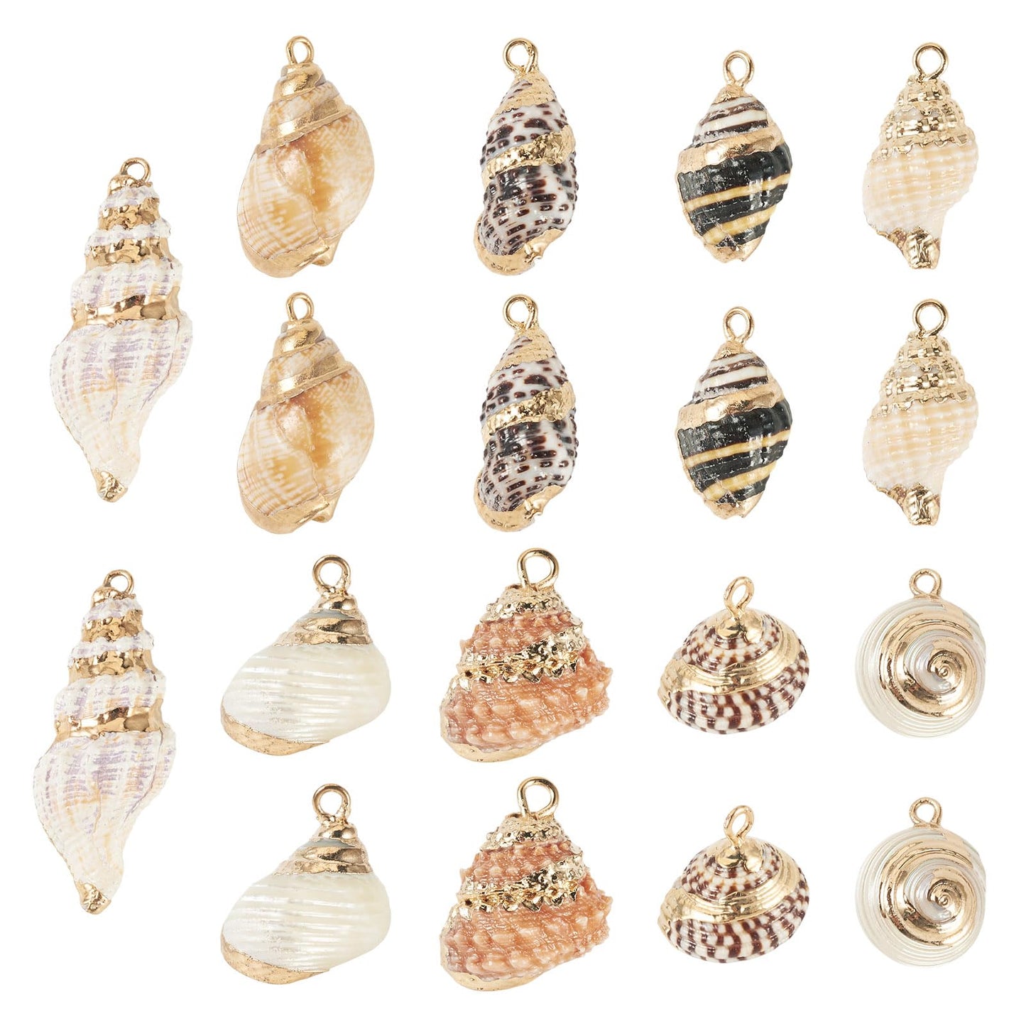 Cheriswelry 18Pcs Shell Pendants Natural Cowrie Seashells Charms DIY Summer Beach Supplies 12.5-33mm for Necklace Bracelet Earring DIY Crafts Jewelry Making Accessories Bohemia Decoration