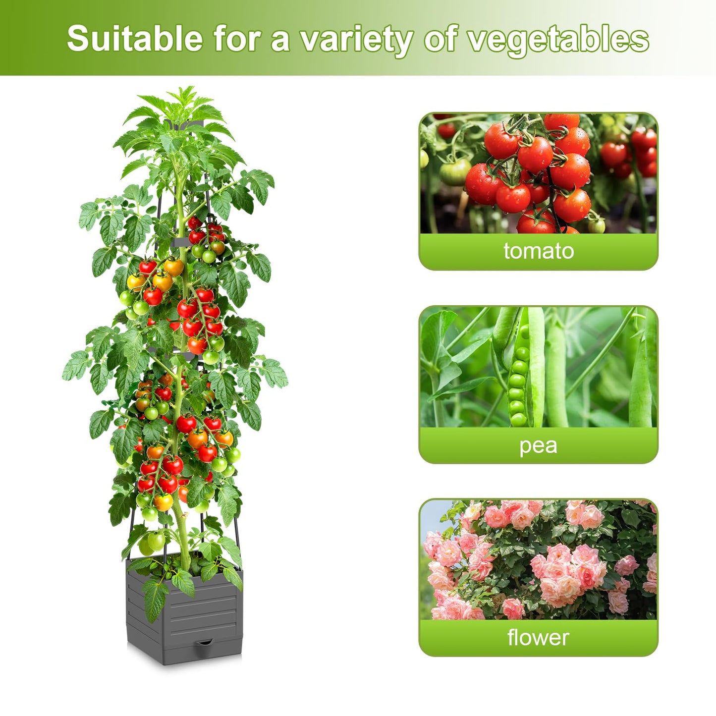 2 Pack Raised Garden Bed Tomato Planter with Trellis, 57" Tomato Cage Plant Support Planters, Self-Watering Planter for Tomatoes Climbing Plants Vegetable Vine Flowers Outdoor & Indoor