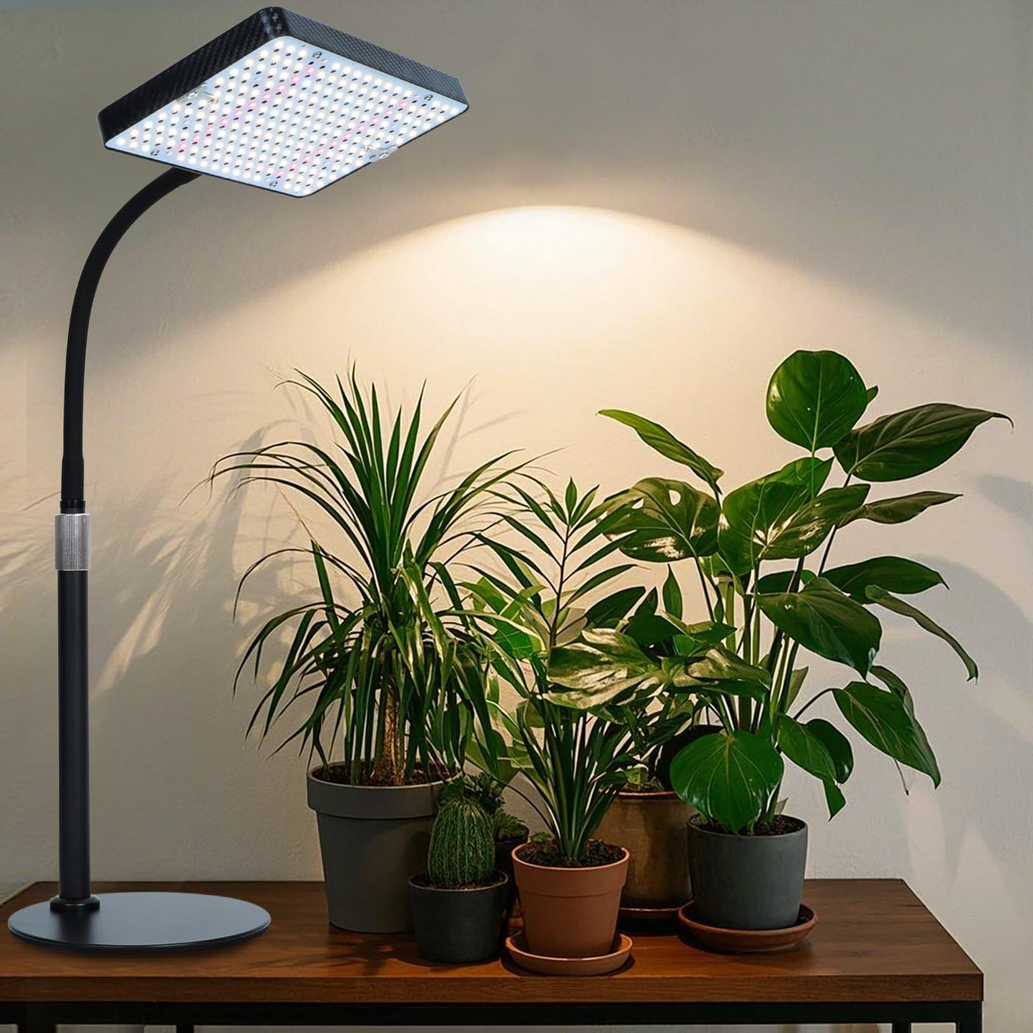 Orchbloom Tabletop Grow Lights for Indoor Plants 25 Watt, Bright Natural Sunlight Full Spectrum Plant Growing Lamps for Houseplants & Bonsai, 4/8/12/16/20H Timer Plant Light Auto On/Off Everyday