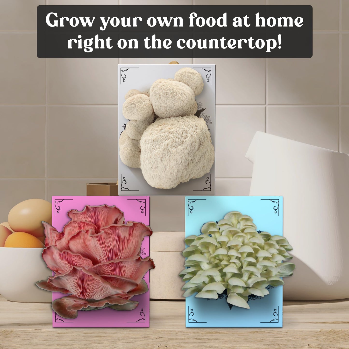 Hodgins Harvest 3 Pack Mushroom Grow Kit | USDA Certified Organic | Grow Your Own Delicious Gourmet Mushrooms at Home
