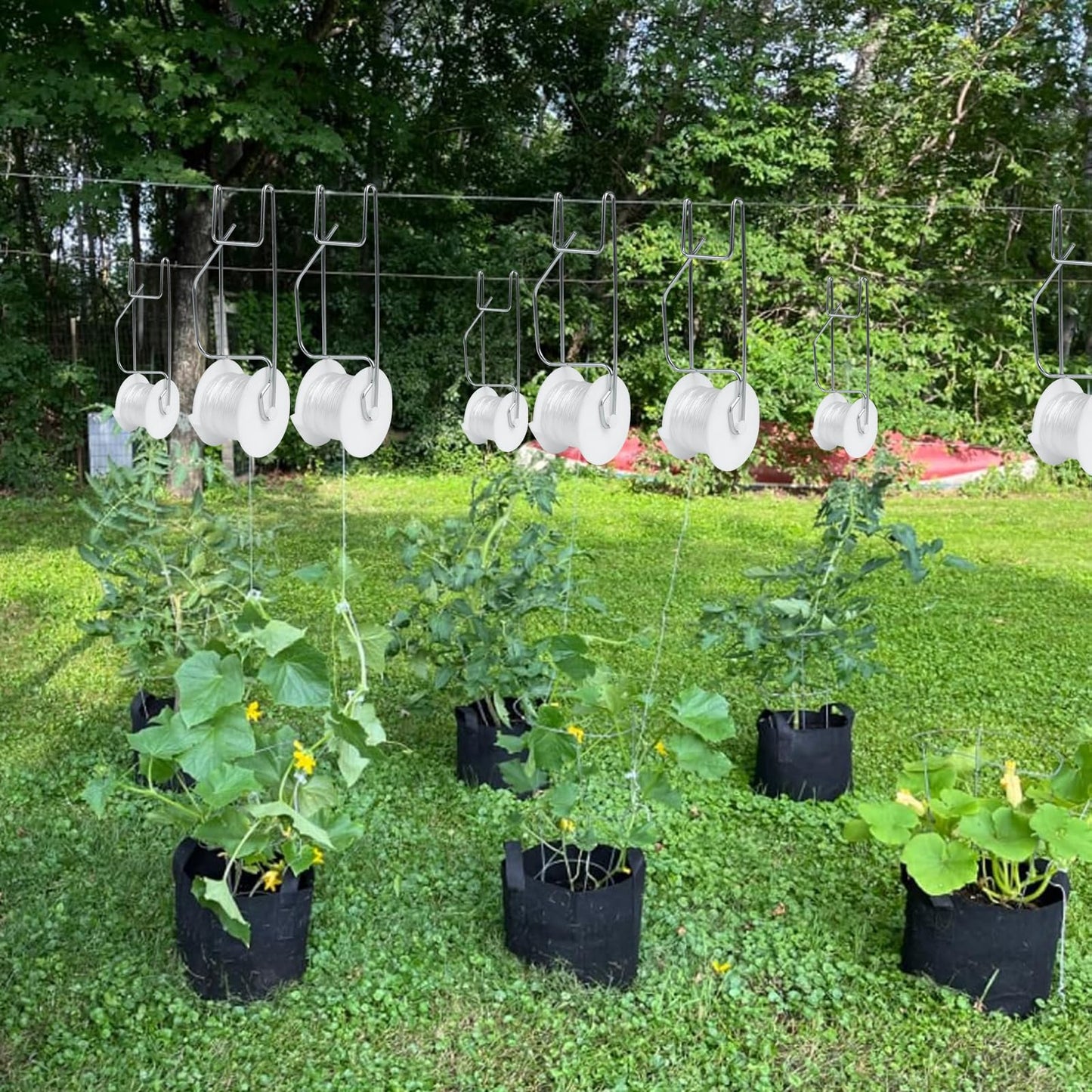 Hidbot Tomato Support Hooks with String,10 Pack Tomato Trellis Roller Hooks with 49.2FT String for Plant,Greenhouse Tomato Flower Vine Twine Crop Trellis Kit Tomato Plant Roller Hook