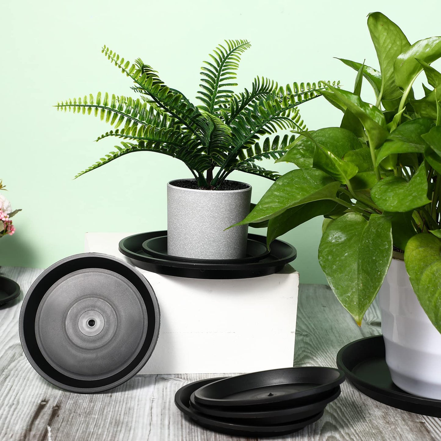 16 Pack Plastic Plant Saucer Black Pot Saucers Round Water Tray Thick Drip Trays for Potted Flower Pan Plant Drainage for Indoor Outdoor Garden, 4 Inch, 6 Inch, 8 Inch, 10 Inch