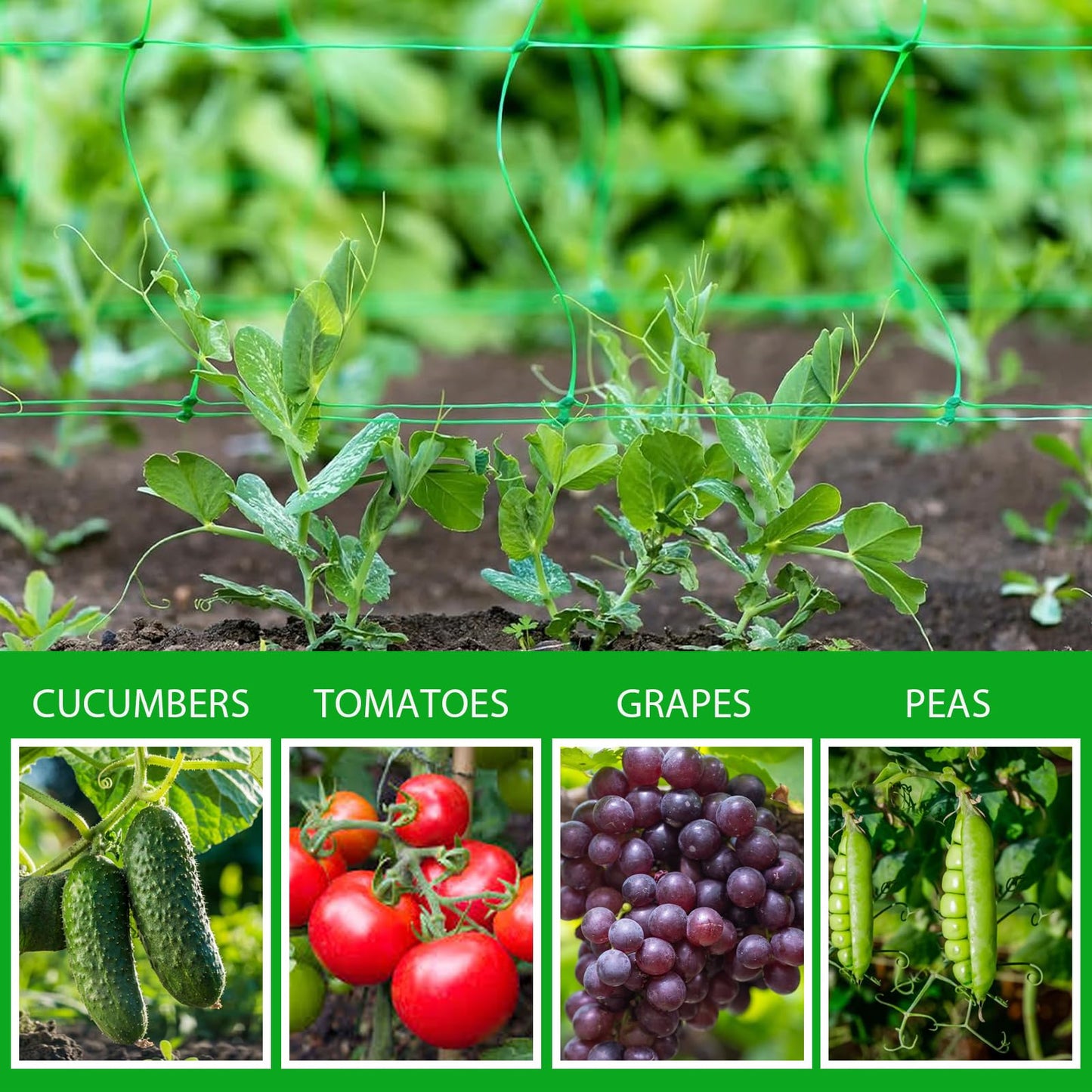 Toolazy Trellis Netting 47" x328' Green - Heavy Duty 6" Mesh Plant Support Net for Climbing Vegetables, Garden Trellis Roll for Tomato Cucumber Pea Bean Vine Grow Tent Scrog Hydroponic