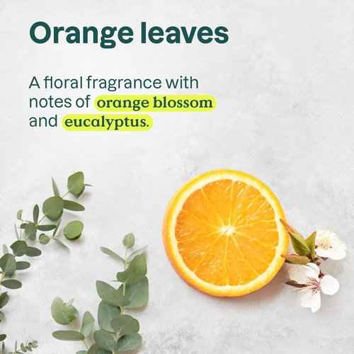 Bundle of 5 ATTITUDE Foaming Hand Soap, EWG Verified, Dermatologically Tested, Plant and Mineral-Based, Vegan, 10 Fl Oz, Lemon Leaves, Olive Leaves, Red Vine Leaves, White Tea Leaves and Orange Leaves