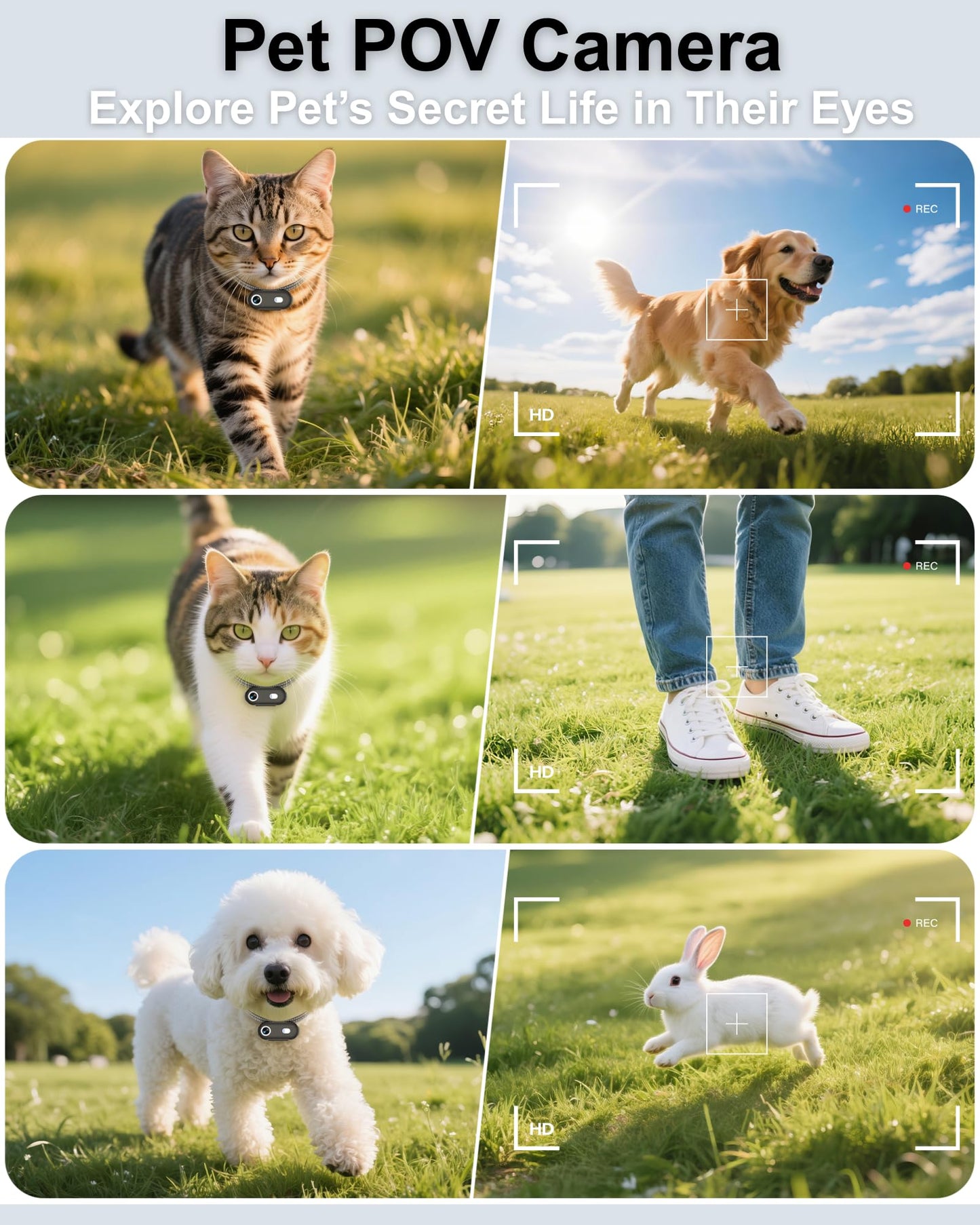 ZoomaraKam Cat & Dog Camera Collar with Phone APP, 1080P HD Video Recording Pet Camera Collar ā Lightweight Pet POV Cam for Curious Cats & Adventurous Pups (XS-with Tracker)