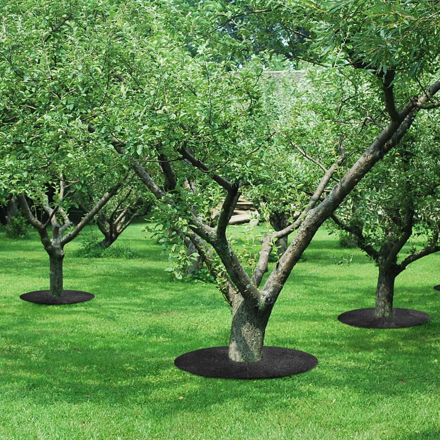 GarveeHome Heavy Duty Rubber Mulch Ring for Trees - 36 inch Round Tree Ring with Weed Barrier, 2 Pack Tree Ring Mat Protector,Root Protection & Easy Installation (No Staples Needed)