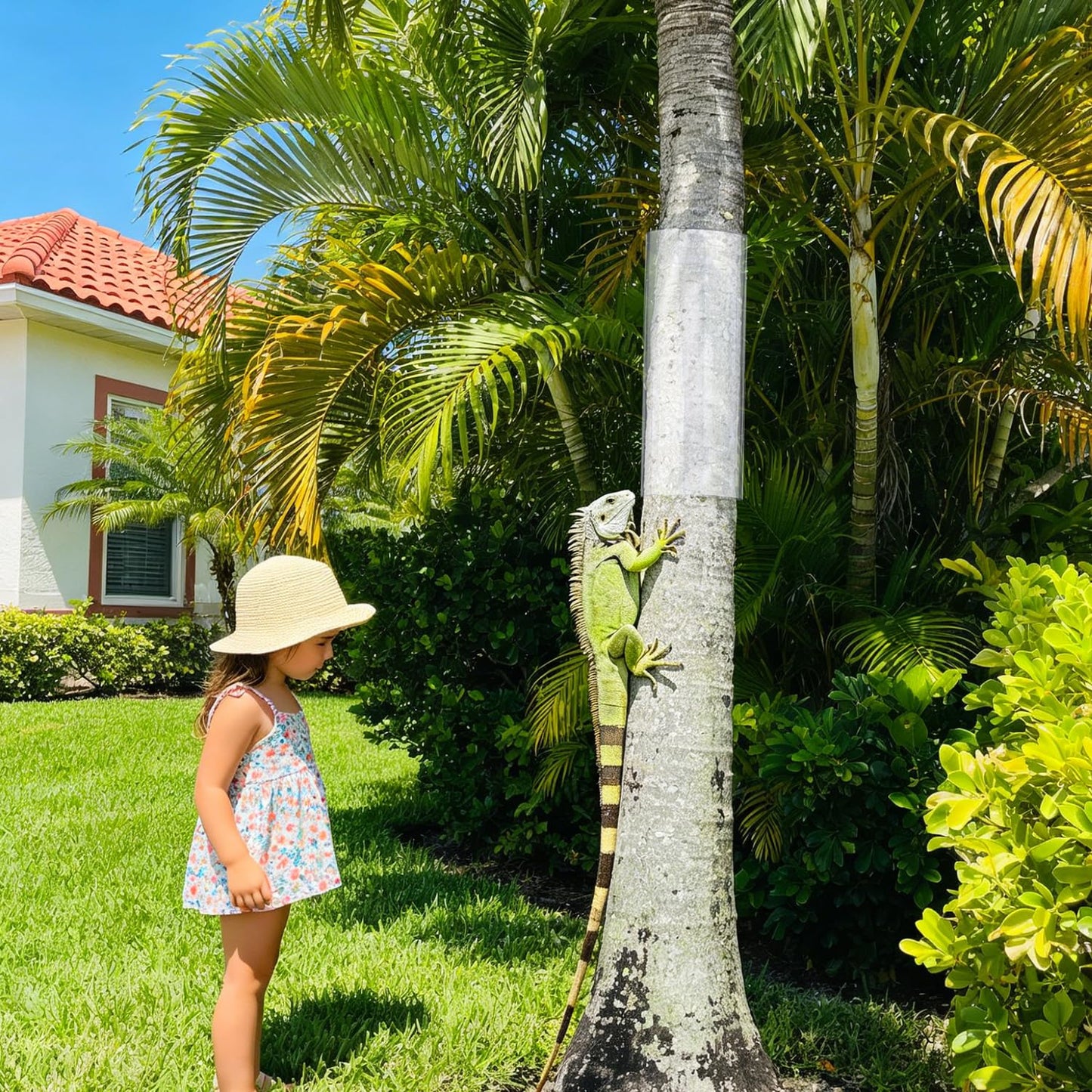 GRETJOB 79" L x 16" W Plastic Tree Trunk Protector Guard, Iguana & Squirrel Baffle for Tree Trunk with 10 Cable Tie and Tape to Protect Damaged Bark, Easy Install Reusable
