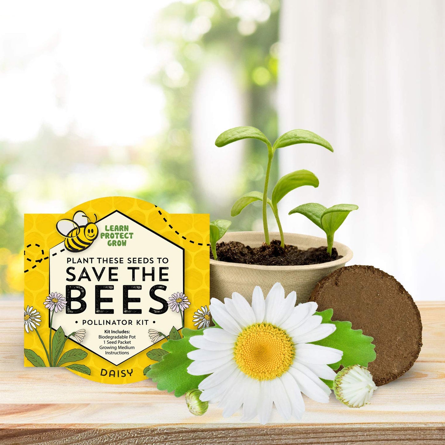 BUZZY Seeds Save The Bees Grow Kit, 12 Biodegradable Mini Flower Pots with Wildflower Seed Packets, Indoor Outdoor Planting Starter Set, DIY Gardening Gift, Sustainable Party Favors Adults