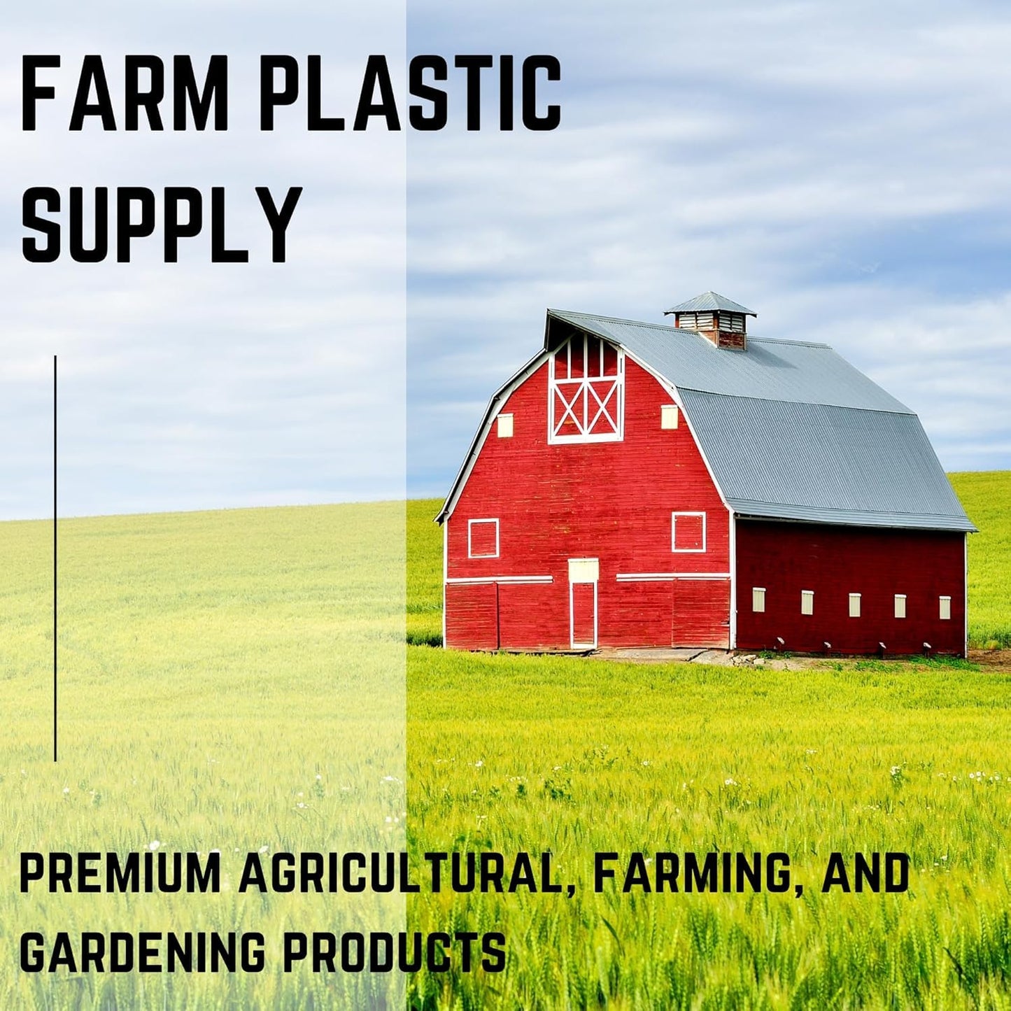 Farm Plastic Supply - Bamboo Garden Stakes - Bambo Sticks, Bamboo Plant Stakes for Outdoor Plants, Plant Support Stakes for Indoor Plants (4 Foot, 10)