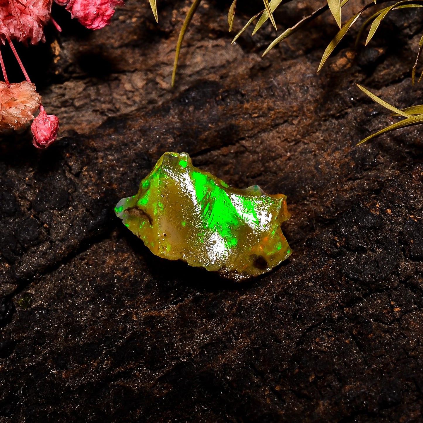 AAAA+ Natural Ethiopian Welo Opal Rough Stone – Ultra Fire Striking Raw Crystal | Handpicked Opal Rock for Jewelry Making | October Birthstone Gemstone (3.2 Carat)