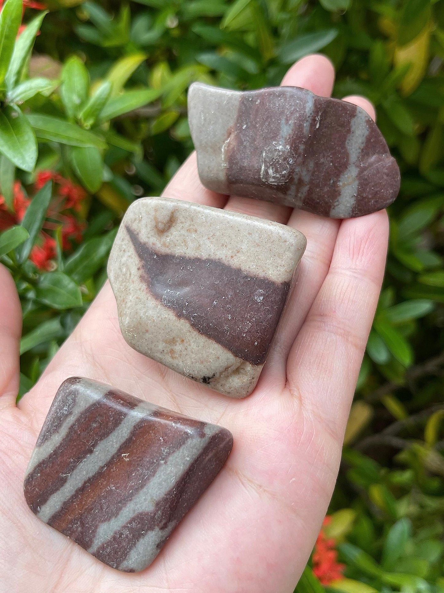 GAF TREASURES 5 Pcs Shiva Lingam Tumbled Stones, Polished Shiva Lingam Gemstone, Shiva Lingam Healing Crystals (Shiva Lingam)