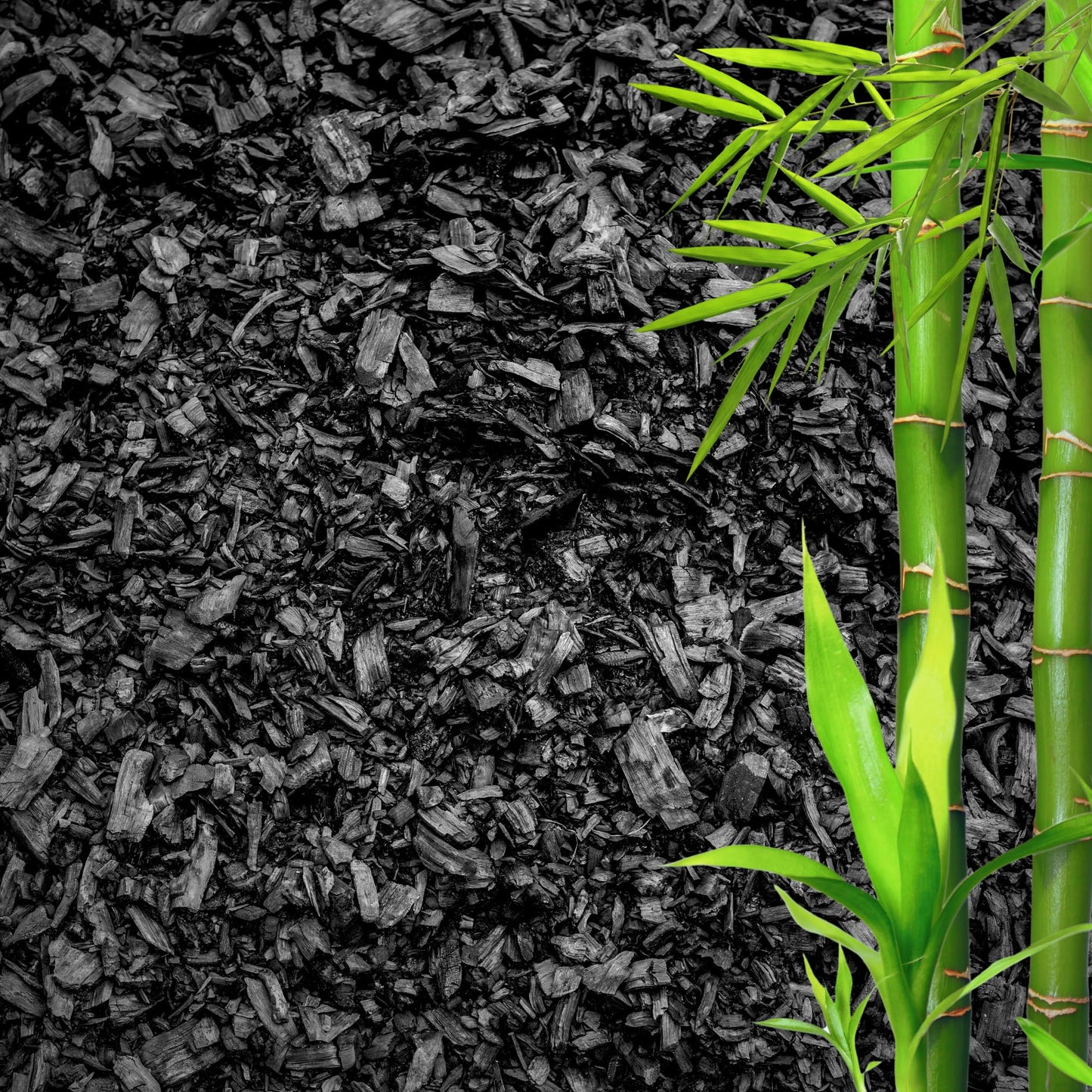 GARDENWISE Horticultural Charcoal for Plants β Organic Bio Char Soil Amendment for Terrariums, Indoor Plants & Gardening, Made in USA (20 quarts)