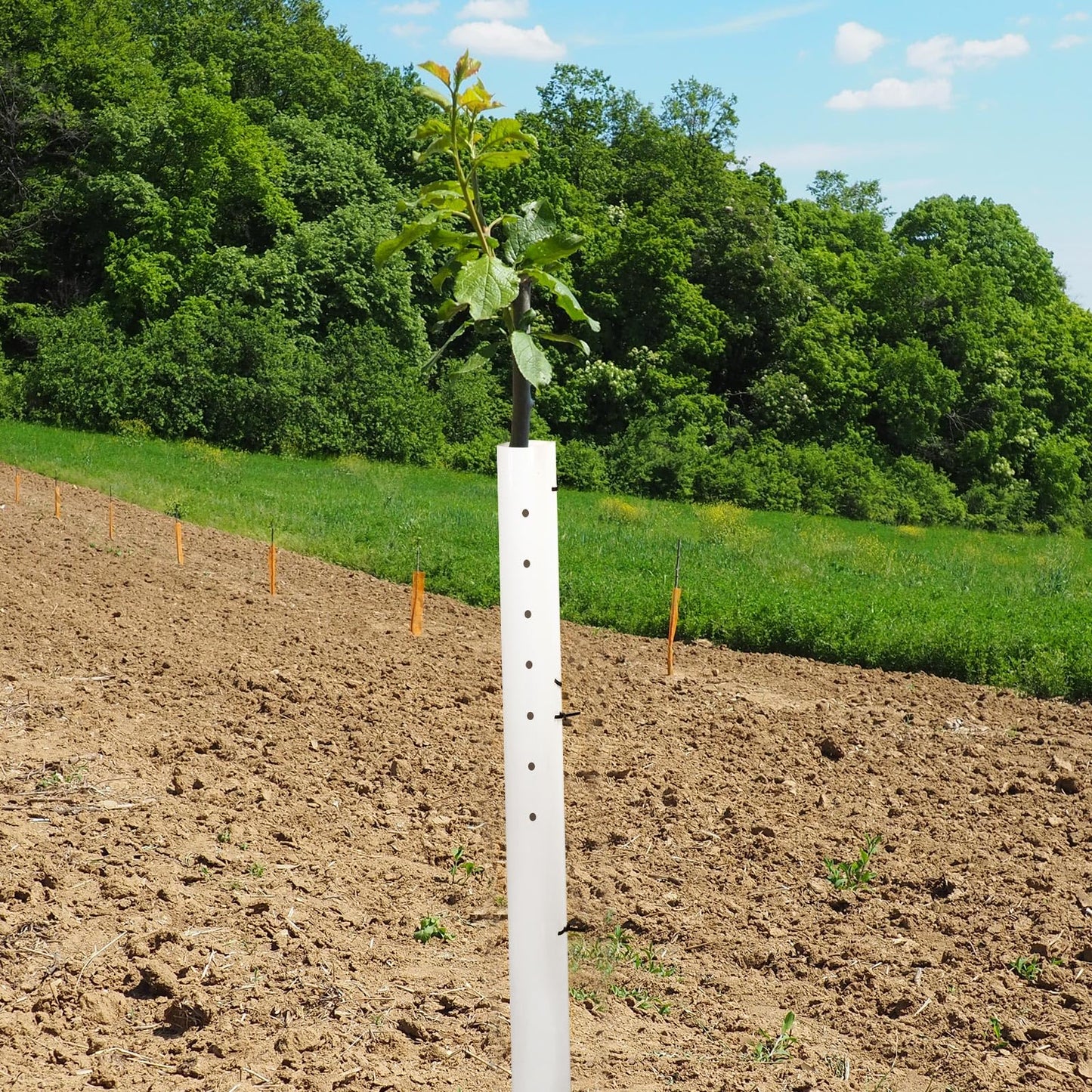 Pushglossy 5 Pack 48 Inch Tree Seedling Sapling Grow Tube Standard Vented Seedling Protectors Split Tree Grow Protector with Releasable Zip Ties Plant Shelter for Trunk Against Deer Rodent