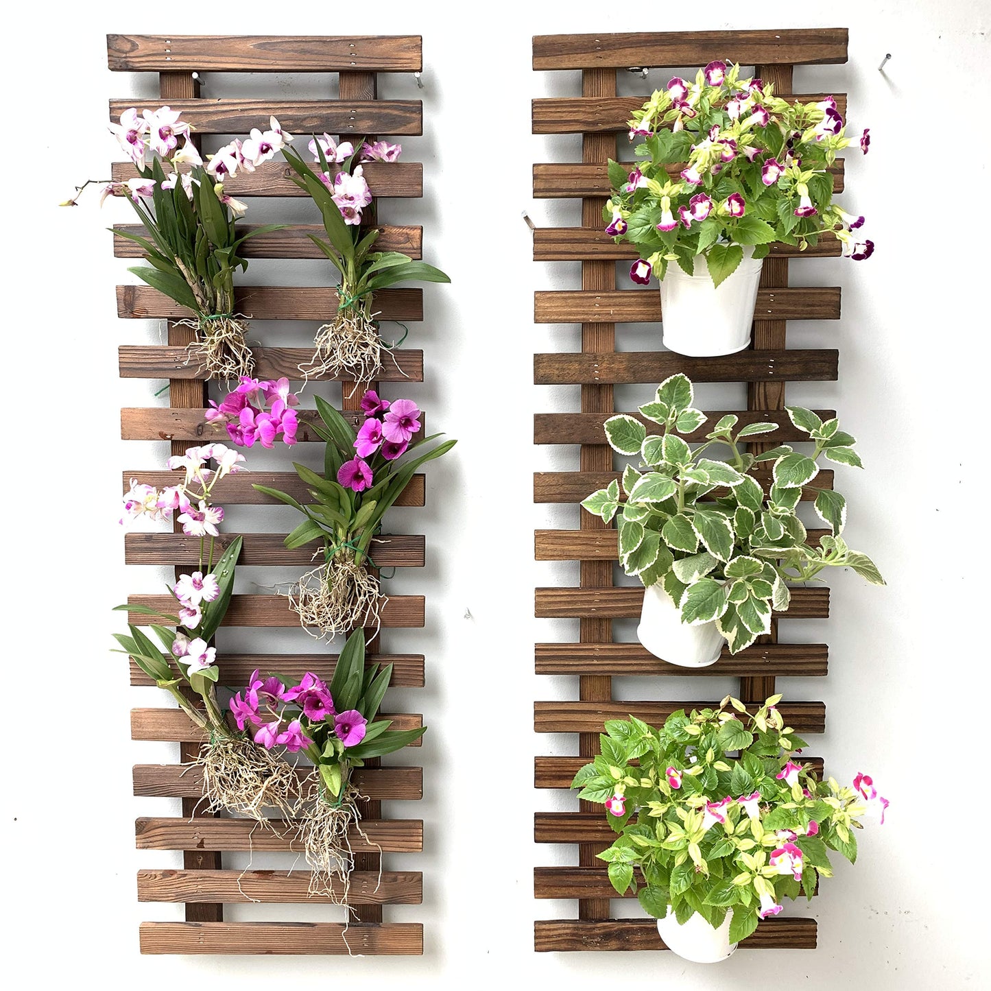 LalaGreen Bundle - 5" Pot + 35.4" Wooden Plant Holder, Black Self Watering Pot, Wooden Hanging Planters for Indoor Plants, Wall Mounted Plant Stand Ladder Outdoor Vertical Garden, Wall Hanging Pots