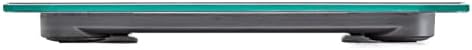 Talking Scales - Clear Loud North American Voice, Big Numbers Stylish Look (Stainless)