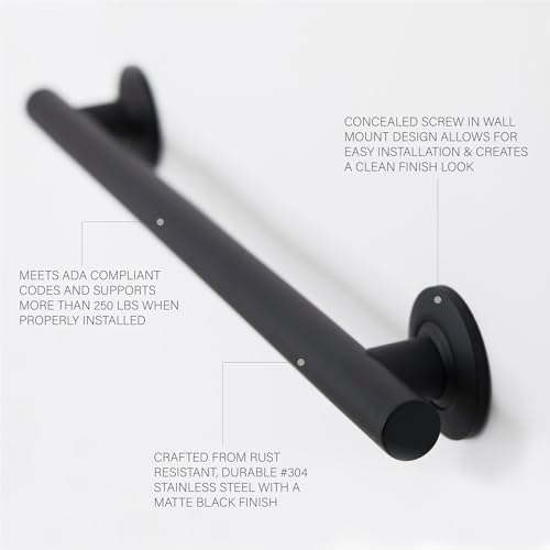 Seachrome 18-inch Coronado Designer Straight Bathroom Shower Grab Bar, Stainless Steel, Matte Black