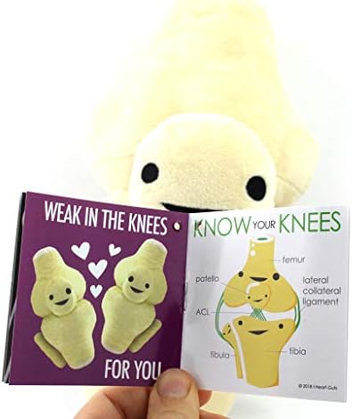 I Heart Guts Knee Joint Plush - Kneed for Speed - Knee Joint Stuffed Pillow Toy Bone, Knee Surgery Gifts - Doctors, Physical Therapists & Orthopedic Surgeon Gifts