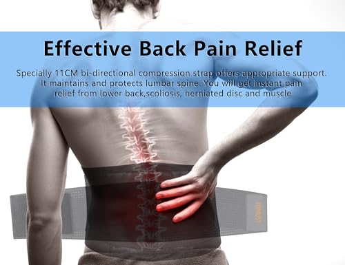 Back Brace - Breathable Waist Belt Lumbar Support for Lower Back Pain Relief, Recovery, Sciatica, Scoliosis, Herniated Disc, Lifting, With Dual Adjustable Straps for Men/Women, L