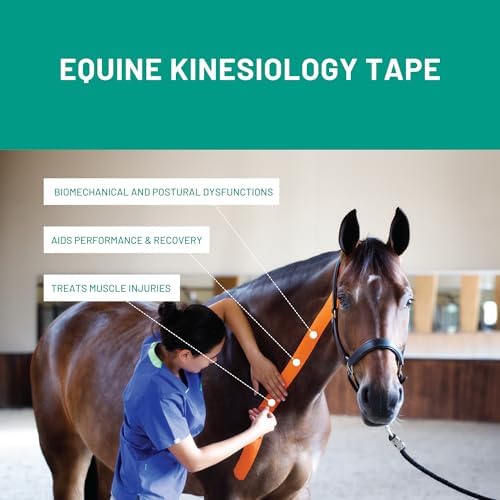 VETKIN VetkinTape® Veterinary Kinesiology Tape | Tape for Horses & Dogs | Equine & Canine Kinesiotape | Latex Free and Quality Mark Certified Ktape | 1.2 inch | Pack of 2 Rolls (Black)