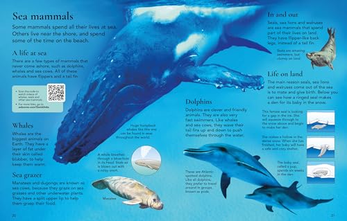 First Encyclopedia of Animals