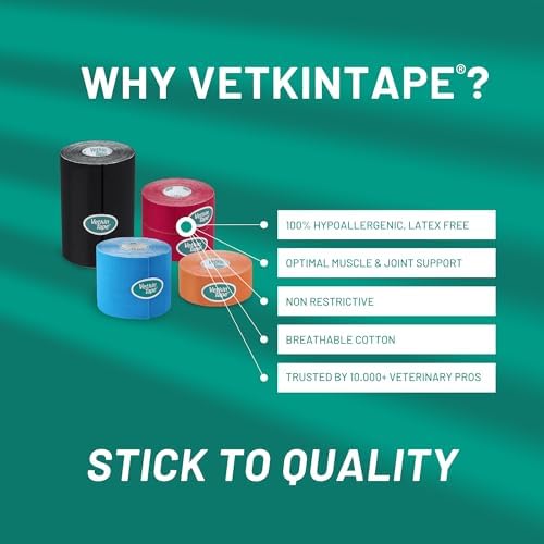 VETKIN VetkinTape® Veterinary Kinesiology Tape | Tape for Horses & Dogs | Equine & Canine Kinesiotape | Latex Free and Quality Mark Certified Ktape | 1.2 inch | Pack of 2 Rolls (Black)
