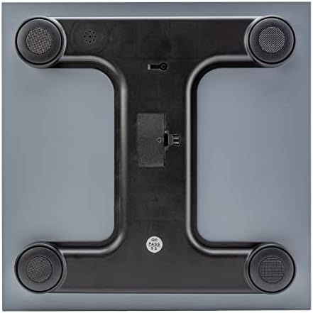 Talking Scales - Clear Loud North American Voice, Big Numbers Stylish Look (Stainless)