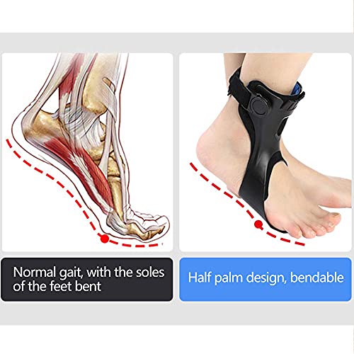 Drop Foot Brace Orthosis AFO AFOs Ankle Brace Support With Comfortable Inflatable Airbag for Hemiplegia Stroke Shoes Walking (Left foot, Medium)
