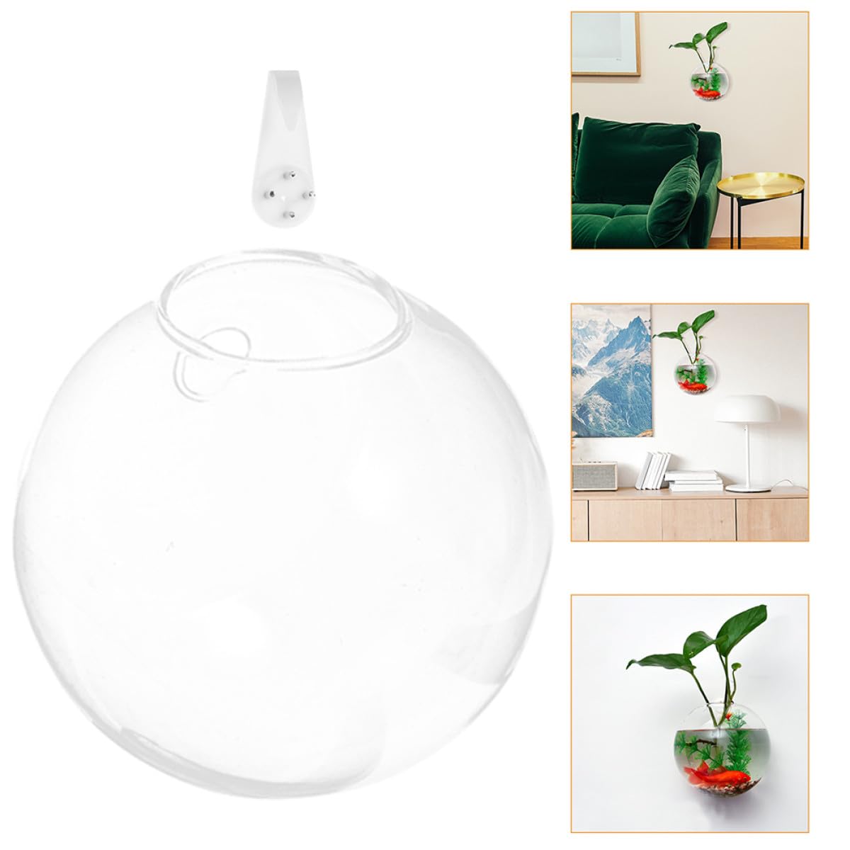 OKUMEYR Wall Mounted Hydroponic Glass Vase Set 4pcs, 10cm Glass Plant Terrarium with Removable Crystal Mud for Home Decoration and Succulent Propagation