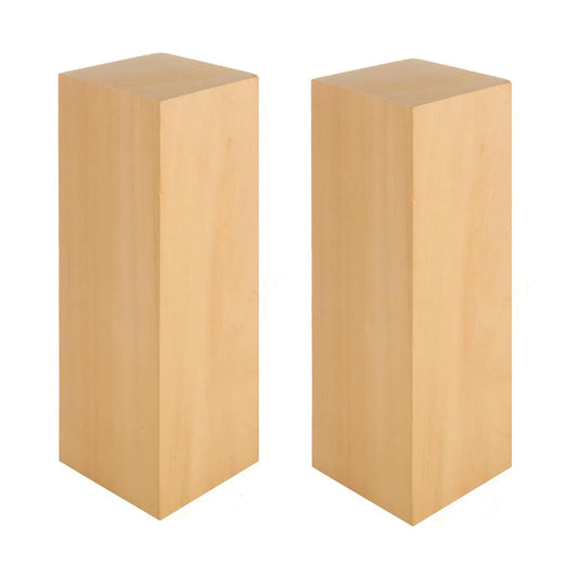 ACXFOND 2 Pack 10x3x3 inch Basswood Carving Blocks, Unfinished Bass Wood Blocks for Wood Carvings for Home, Class, Arts, Crafts, Christmas DIY Supplies