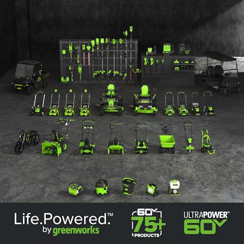Greenworks 60V 17" Brushless Cordless Push Lawn Mower, 2-in-1 Mulching/Bagging, 4.0Ah Battery and 3A Charger(40min Runtime)