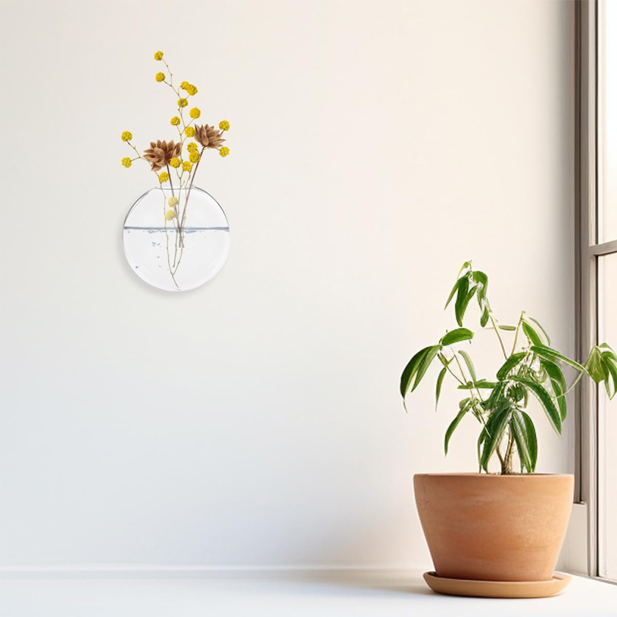 Luxshiny 6pcs Wall Hanging Glass Planter Vases for Hydroponic Plants, Flat Glass Terrariums for Home Décor and Indoor Gardening