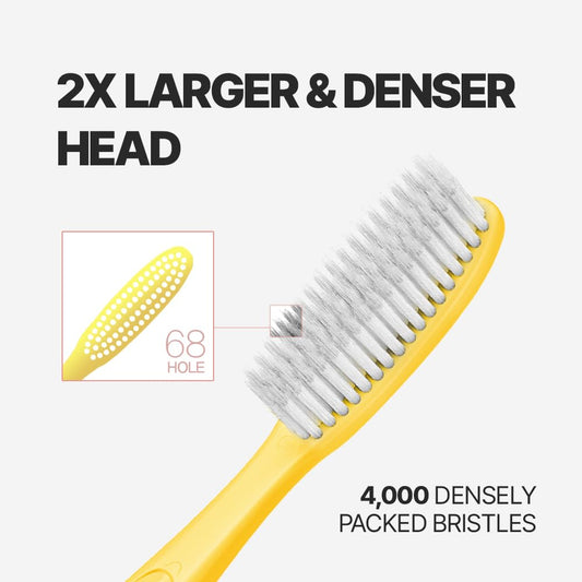 WANGTA Basic – Extra Large Toothbrush – 1.6 inch (4 cm) Wide Head | 4,000 Bristles for Deep Cleaning & Gum Care | Made in Korea Premium Oral Care (10 Pack)