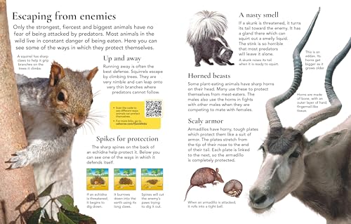 First Encyclopedia of Animals