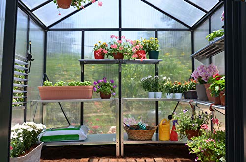Palram - Canopia Glory 8 Ft. x 8 Ft. Greenhouse Kit with 4 Heavy Duty ShelvesHobby DIY Walk In Green House Heavy Duty Polycarbonate with Aluminium Frame, with Lockable Door and Vent for Garden (Gray)