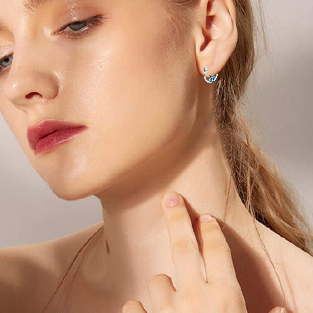 Butterfly Hoop Earrings for Women 925 Sterling Sliver Butterfly Earrings Dainty Earrings Hypoallergenic Earrings Butterfly Jewelry for Teen Girl Daughter Sister