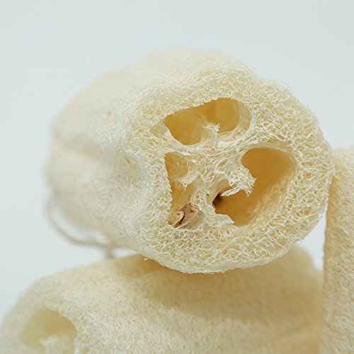 4" Natural Loofah Exfoliating Body Sponge Scrubber, Plant-Based Organic Loofa Luffa for Men & Women Skin Care Bath Shower Cleaning Back & Fac, Natural Sponges for Dishes, Pack of 4