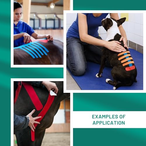 VETKIN VetkinTape® Veterinary Kinesiology Tape | Tape for Horses & Dogs | Equine & Canine Kinesiotape | Latex Free and Quality Mark Certified Ktape | 1.2 inch | Pack of 2 Rolls (Black)
