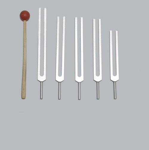 TFS Tuningforkshop 5 Pc Brain Tuning Fork for Healing with Mallet+Pouch